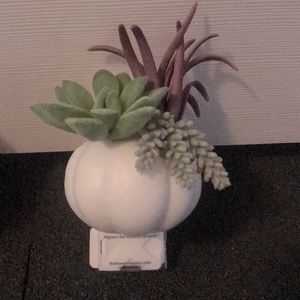 Bath and Body Works Decorative Wall Plug Holder